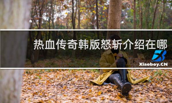 热血传奇韩版怒斩介绍在哪