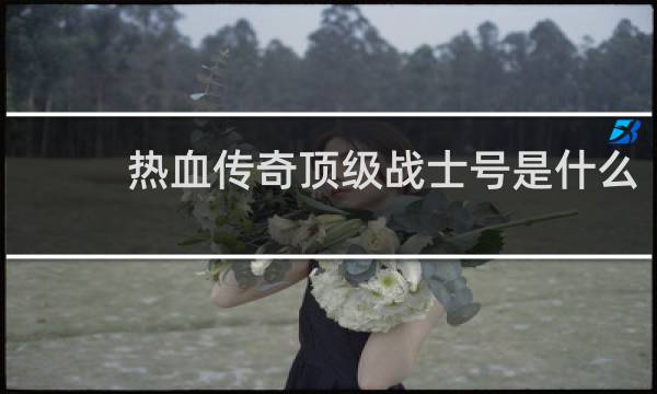 热血传奇顶级战士号是什么