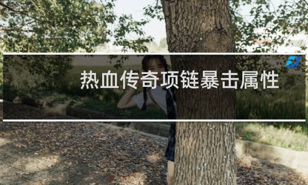 热血传奇项链暴击属性