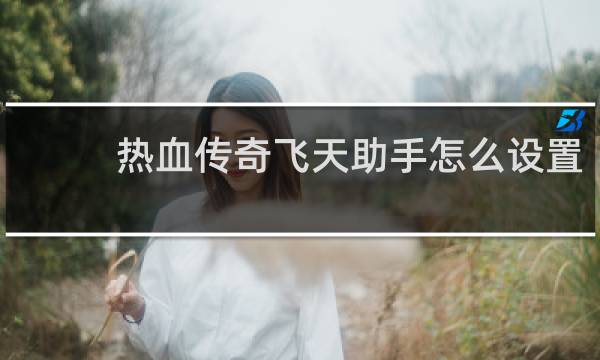 热血传奇飞天助手怎么设置