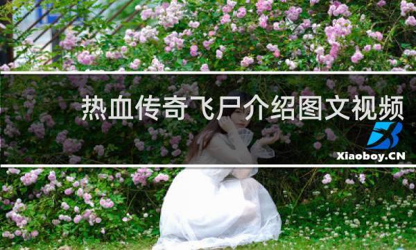 热血传奇飞尸介绍图文视频