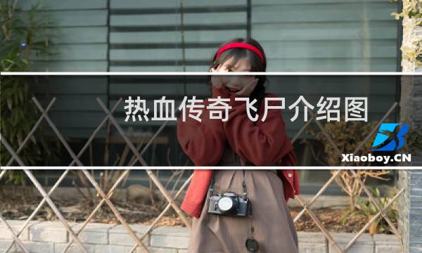 热血传奇飞尸介绍图