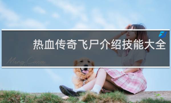 热血传奇飞尸介绍技能大全