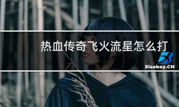 热血传奇飞火流星怎么打