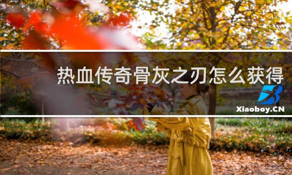 热血传奇骨灰之刃怎么获得