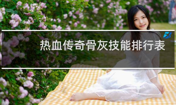 热血传奇骨灰技能排行表