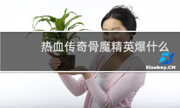 热血传奇骨魔精英爆什么