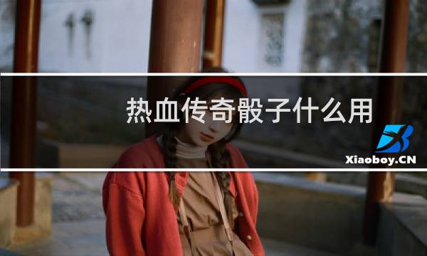 热血传奇骰子什么用