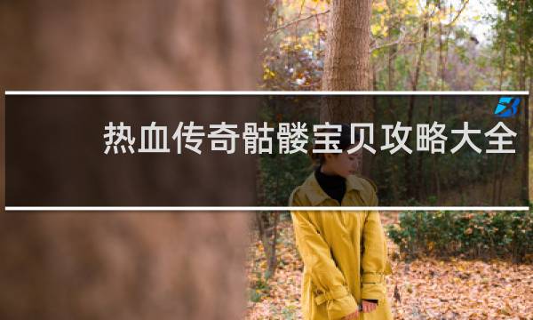 热血传奇骷髅宝贝攻略大全