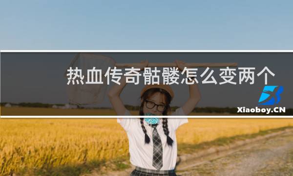 热血传奇骷髅怎么变两个