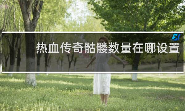 热血传奇骷髅数量在哪设置