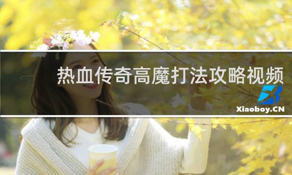热血传奇高魔打法攻略视频