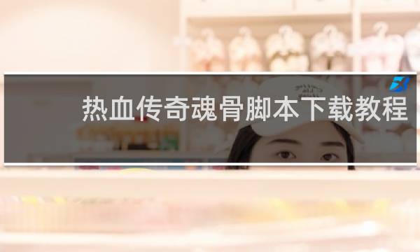 热血传奇魂骨脚本下载教程