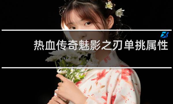 热血传奇魅影之刃单挑属性