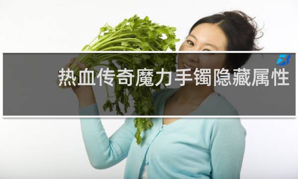 热血传奇魔力手镯隐藏属性