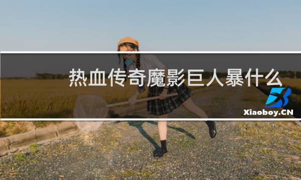 热血传奇魔影巨人暴什么