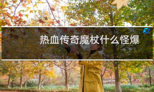 热血传奇魔杖什么怪爆