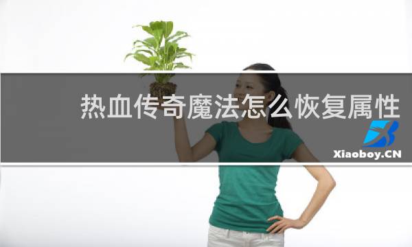 热血传奇魔法怎么恢复属性
