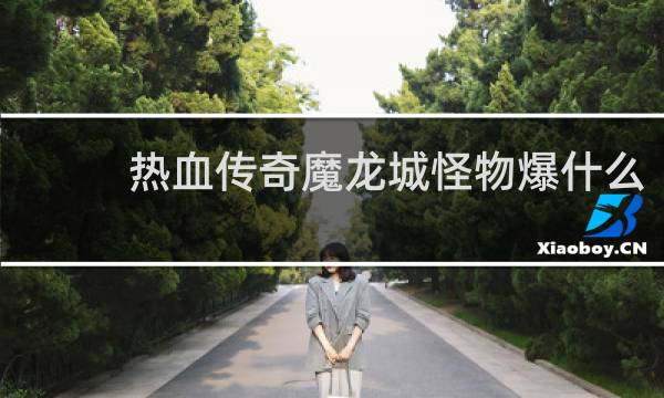 热血传奇魔龙城怪物爆什么