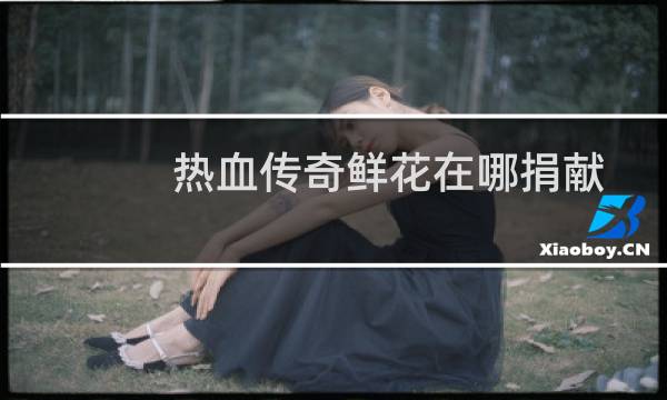 热血传奇鲜花在哪捐献