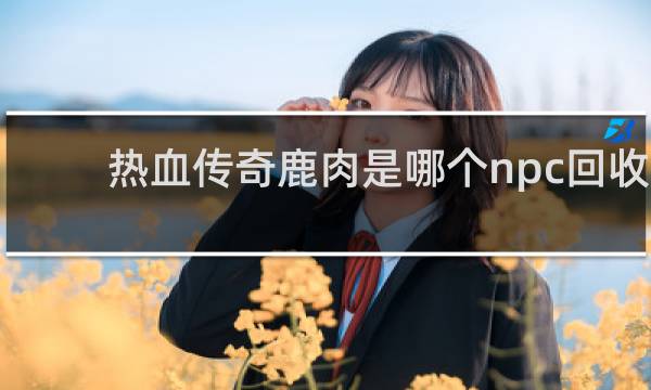 热血传奇鹿肉是哪个npc回收