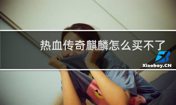 热血传奇麒麟怎么买不了