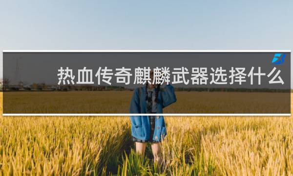 热血传奇麒麟武器选择什么