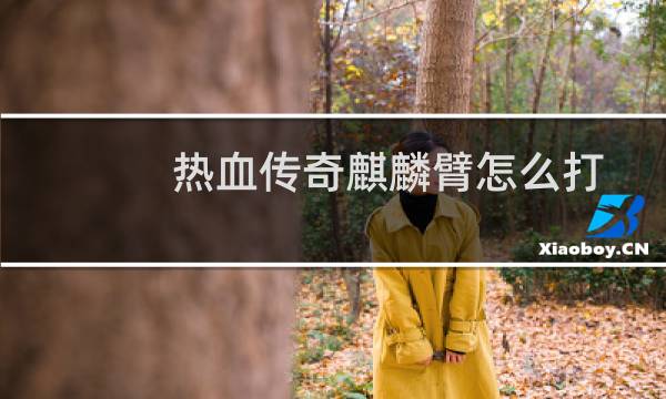 热血传奇麒麟臂怎么打