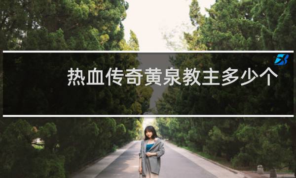 热血传奇黄泉教主多少个