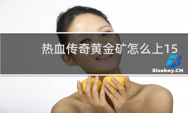热血传奇黄金矿怎么上15
