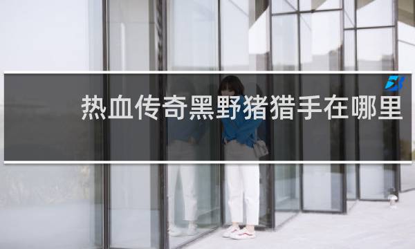热血传奇黑野猪猎手在哪里