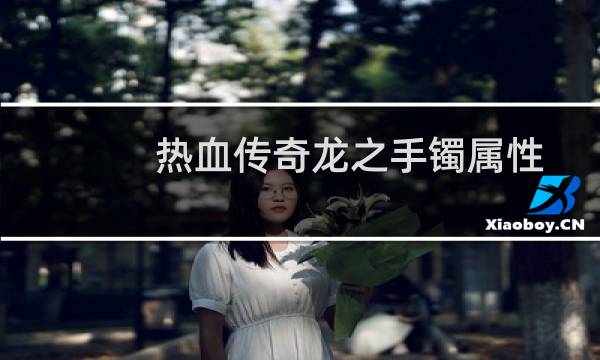 热血传奇龙之手镯属性