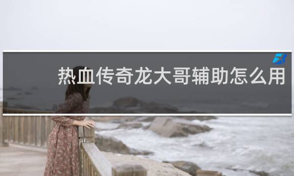 热血传奇龙大哥辅助怎么用