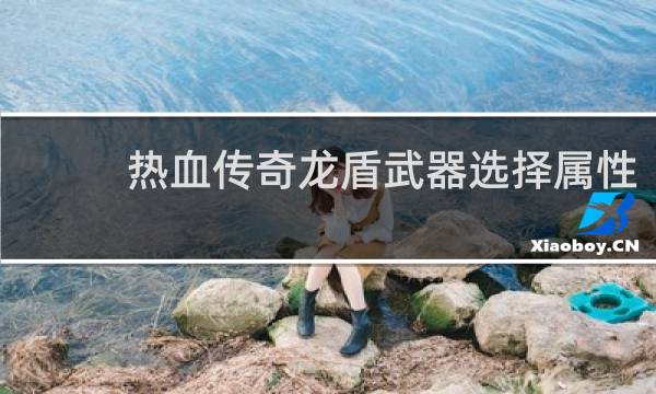 热血传奇龙盾武器选择属性