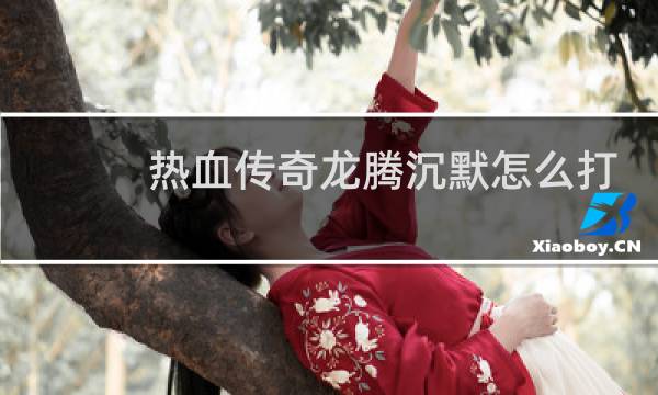 热血传奇龙腾沉默怎么打