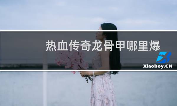 热血传奇龙骨甲哪里爆
