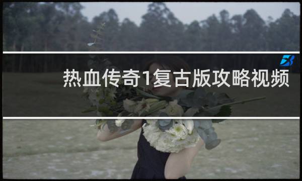 热血传奇1复古版攻略视频