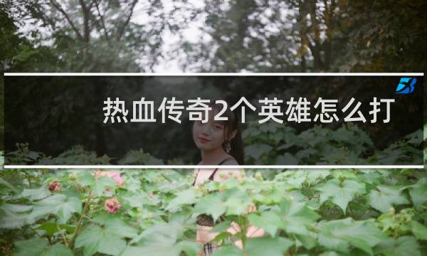 热血传奇2个英雄怎么打