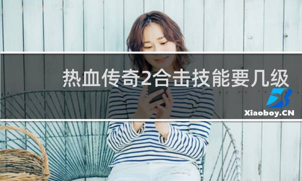 热血传奇2合击技能要几级