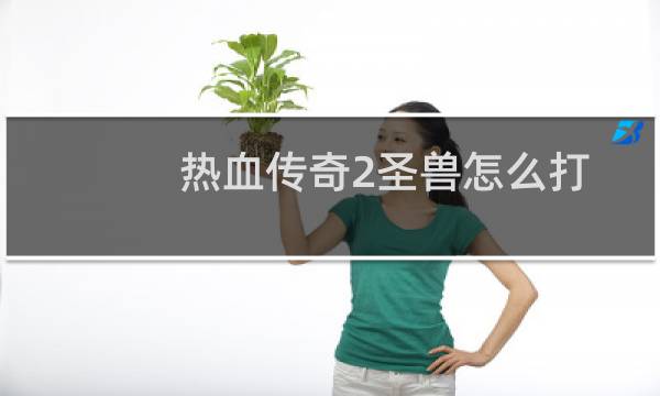 热血传奇2圣兽怎么打