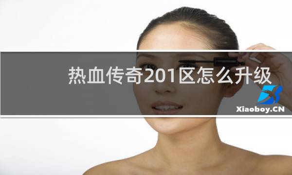 热血传奇201区怎么升级