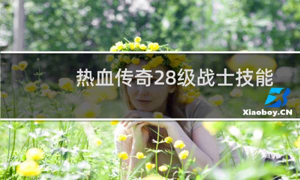 热血传奇28级战士技能