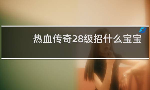 热血传奇28级招什么宝宝