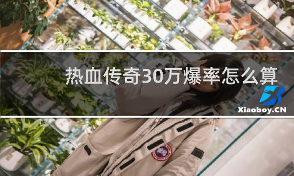 热血传奇30万爆率怎么算