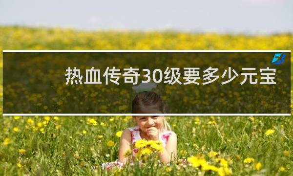 热血传奇30级要多少元宝