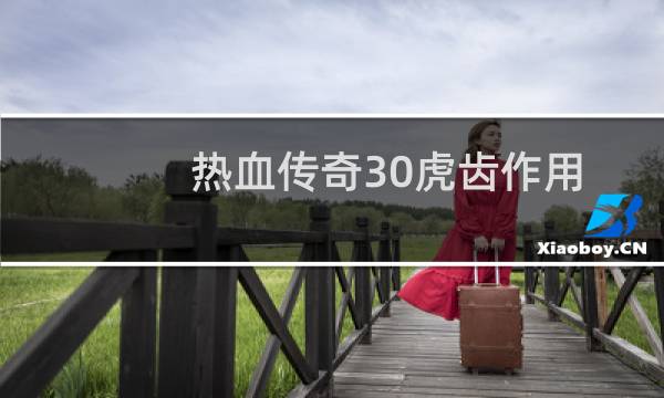 热血传奇30虎齿作用