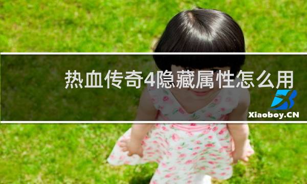 热血传奇4隐藏属性怎么用