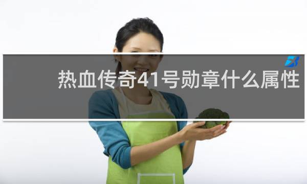 热血传奇41号勋章什么属性