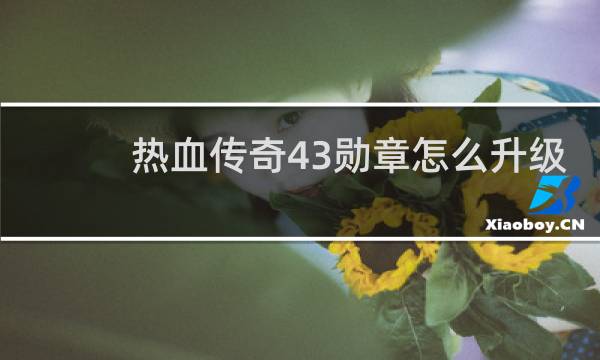 热血传奇43勋章怎么升级