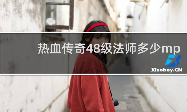 热血传奇48级法师多少mp